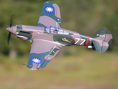 FMS 980mm P-40B Flying Tiger PNP RC Airplane