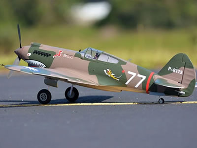 FMS 980mm P-40B Flying Tiger PNP RC Airplane